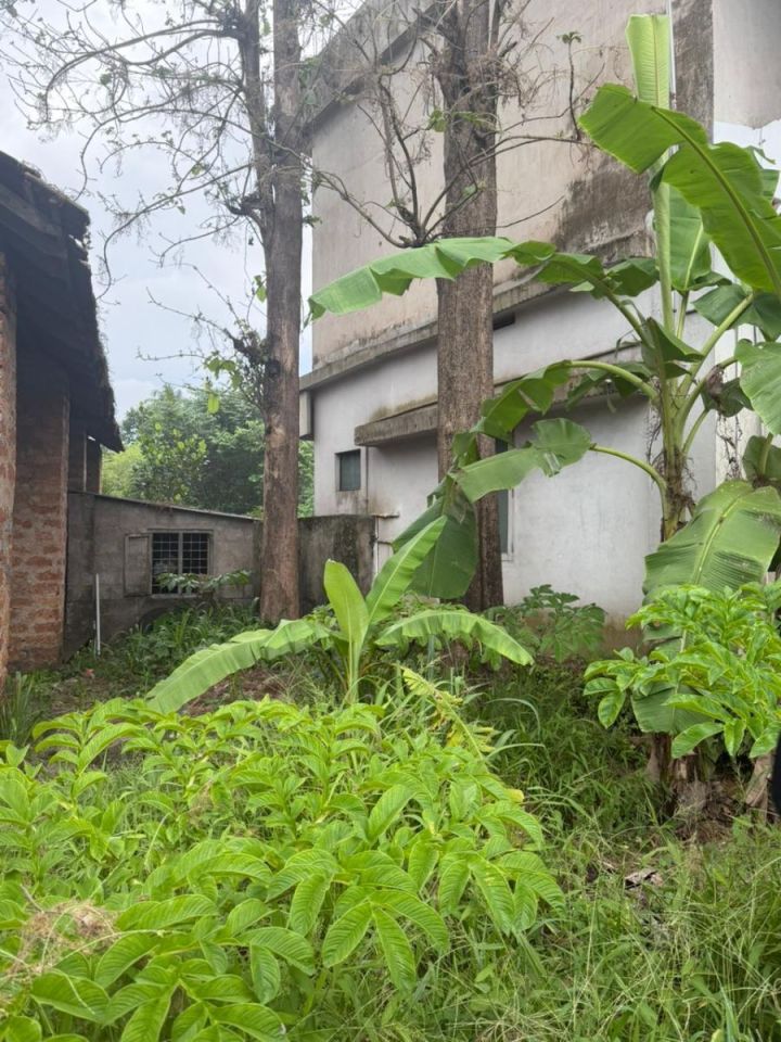Commercial Land for Sale in Olari, Chettupuzha, Thrissur
