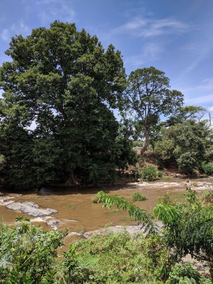 River facing property for sale