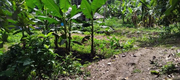 Plot for Sale in Mangalam, Chenganuur, Kerala
