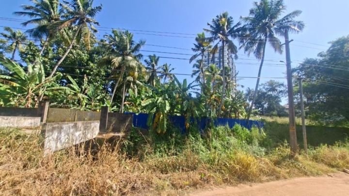 50-Cent Premium Residential Plot Near Hotel Karthika Park & Technopark