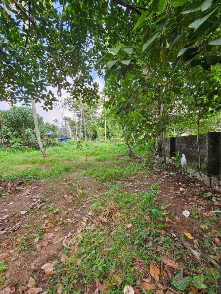 Commercial/Residential plot next to National Highway