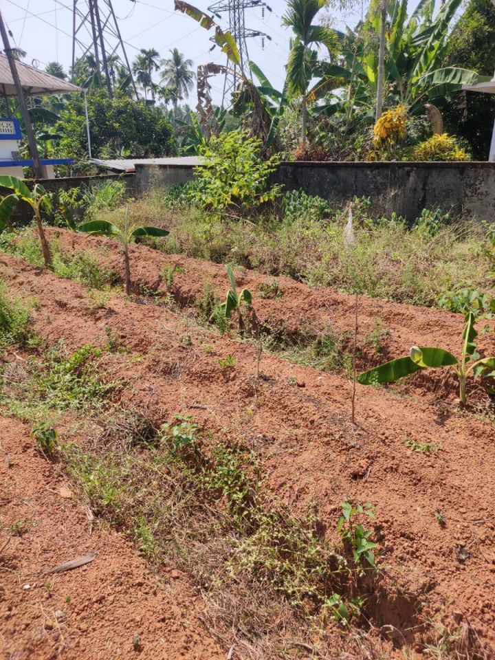 8 Cent Residential Plot for Sale – Perambra, Chalakudy, Thrissur