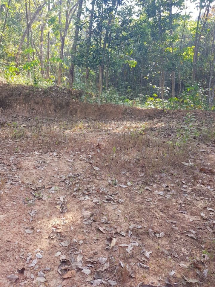 66.77 Cents Residential Land for Sale — Vittiyam, Peyad, Trivandrum (Tar Road Frontage)