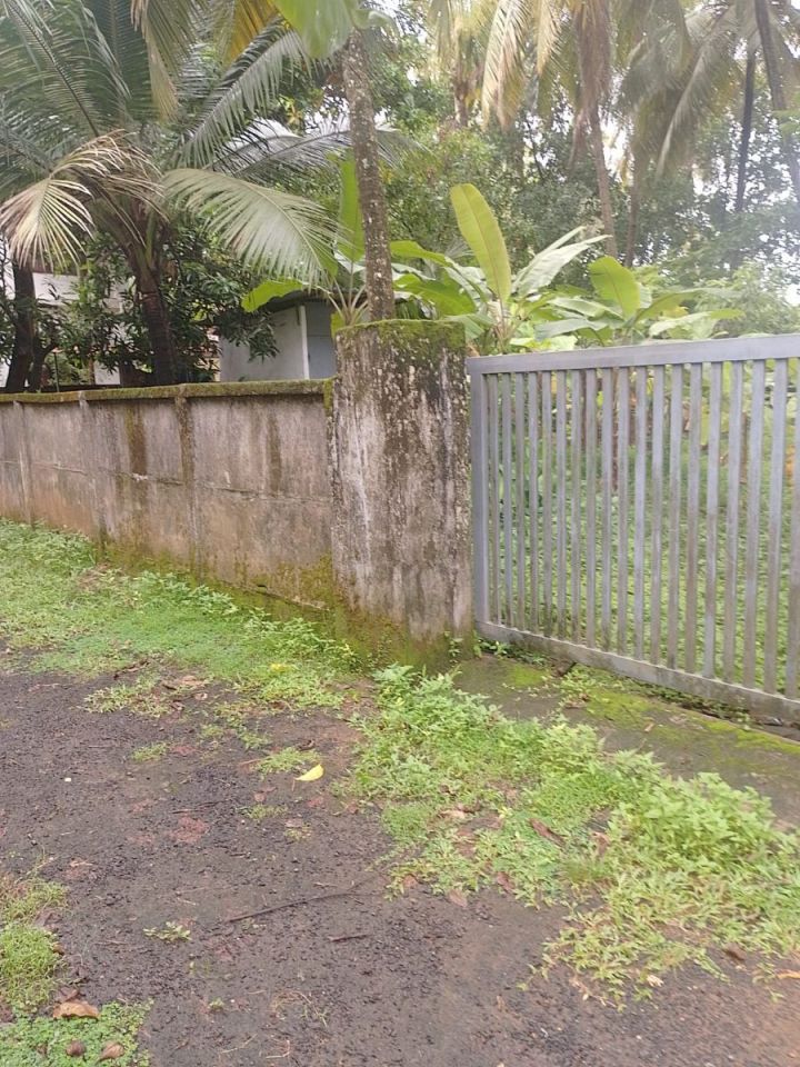 Residential Plot- 14.5 & 10 cents For sale in Peringavu,Thrissur.