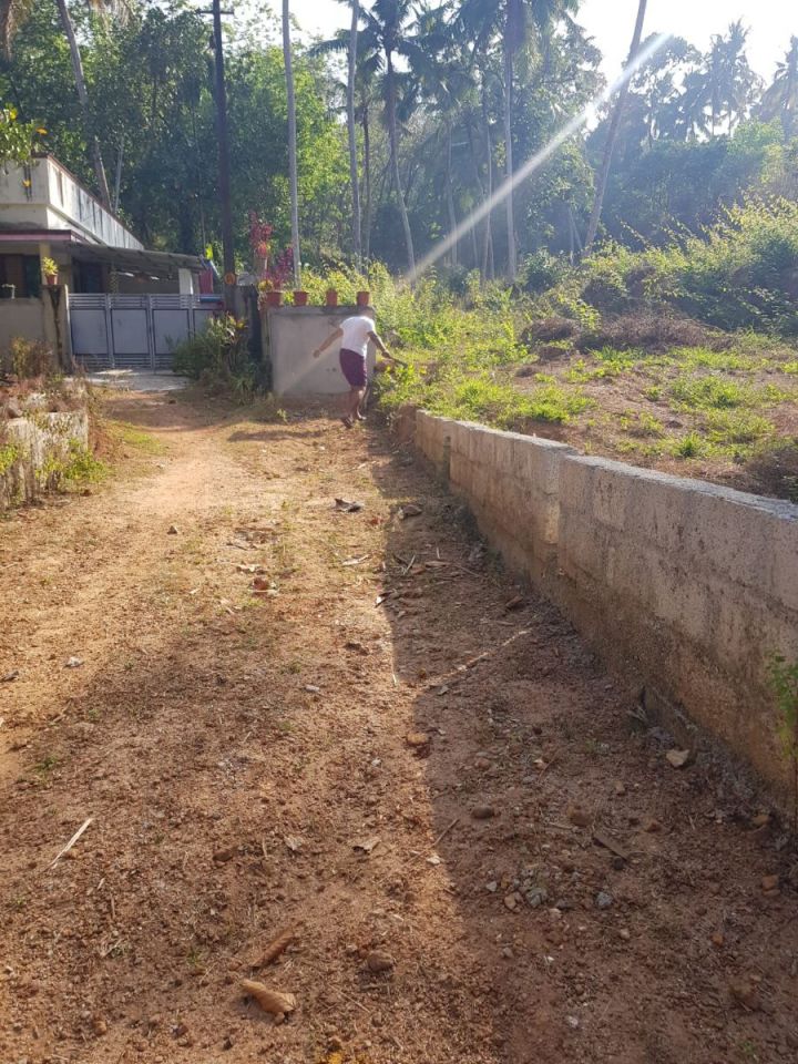 66.77 Cents Residential Land for Sale — Vittiyam, Peyad, Trivandrum (Tar Road Frontage)