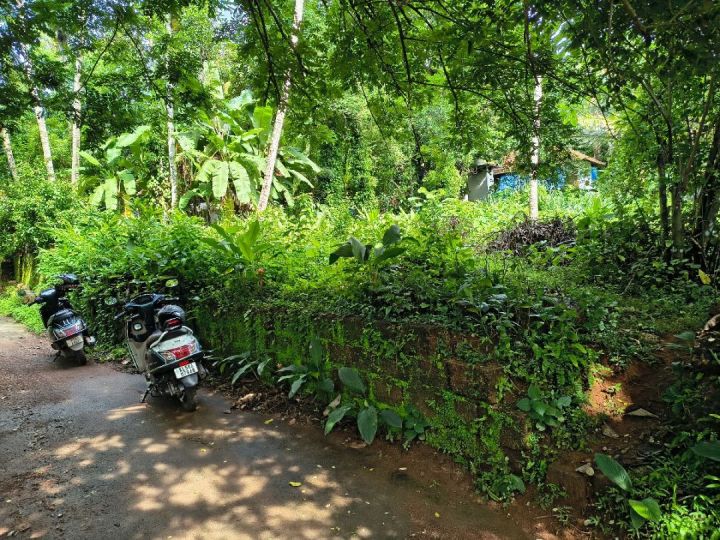 20 Cent Land For Sale Location : Madapeedika (Thalassery-Kannur Dist)