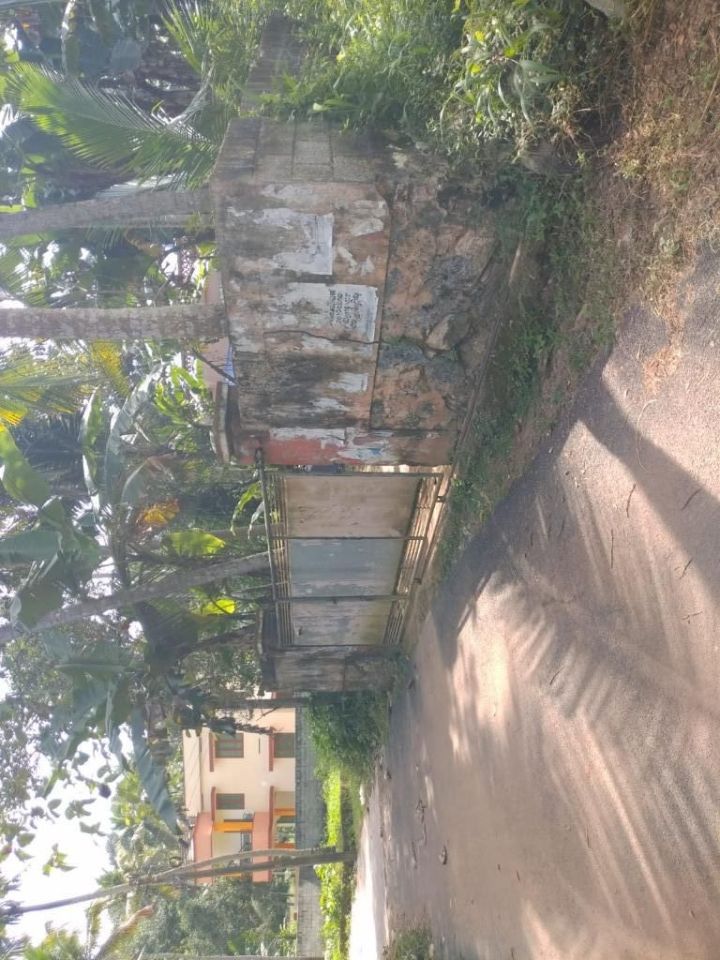 66.77 Cents Residential Land for Sale — Vittiyam, Peyad, Trivandrum (Tar Road Frontage)