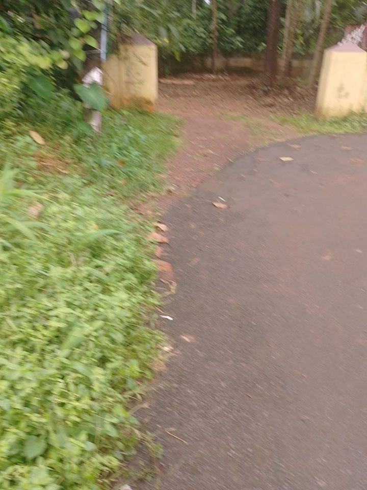 Residential Land For Sale in Thiroor, Thrissur.