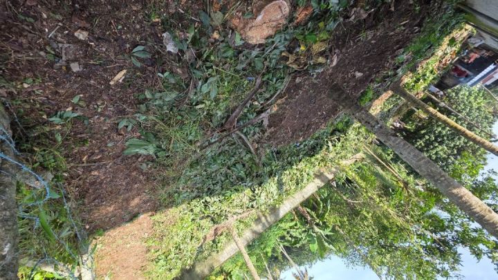 9 cent Plot For Sale In Nalkavala,Kottara