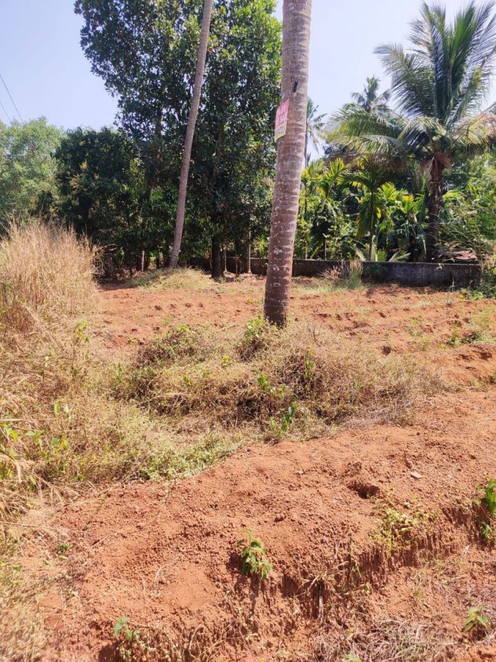 8 Cent Residential Plot for Sale – Perambra, Chalakudy, Thrissur
