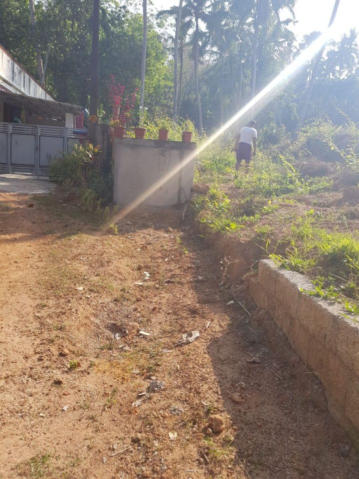66.77 Cents Residential Land for Sale — Vittiyam, Peyad, Trivandrum (Tar Road Frontage)