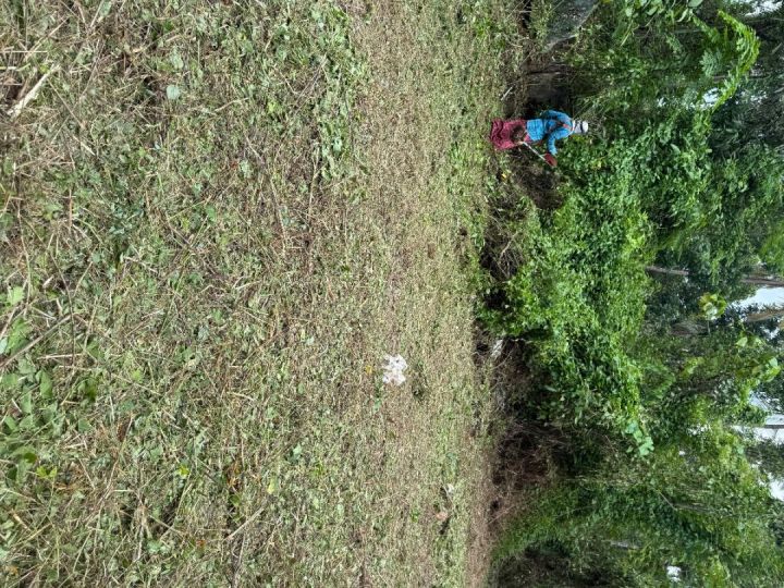 49.5Cents of Residential plot with direct Road access for Sale