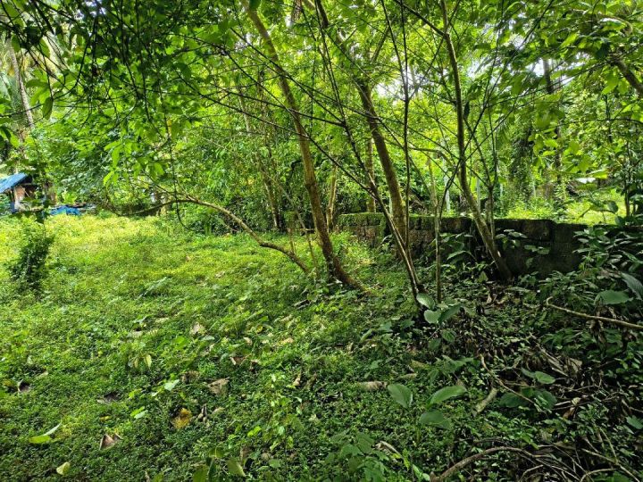 20 Cent Land For Sale Location : Madapeedika (Thalassery-Kannur Dist)