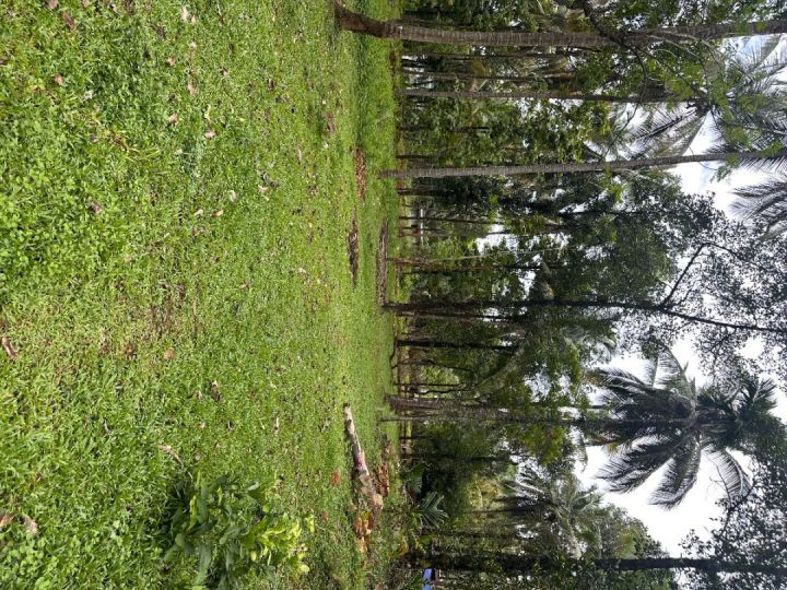 Land for Sale in Kunderi Road- Kelakam, India