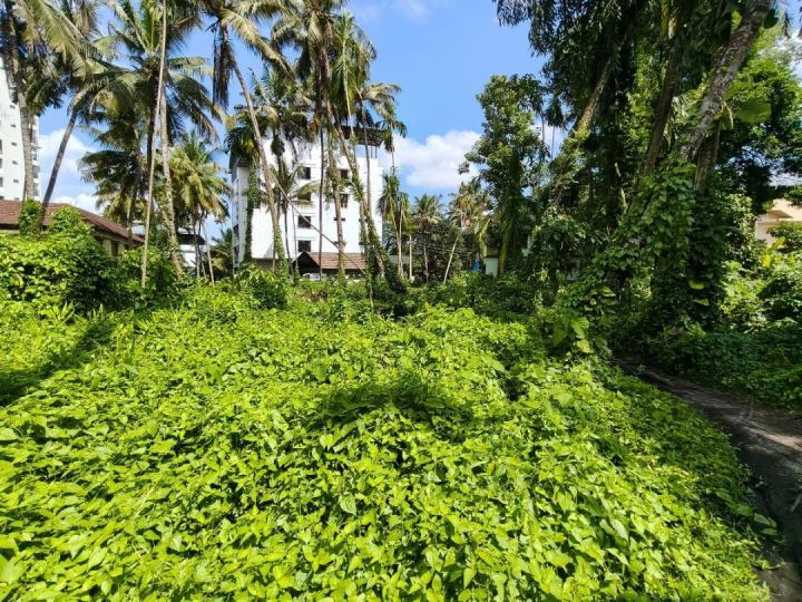 62 Cent Land for sale in Vennala at 18.75 lakh/Cent