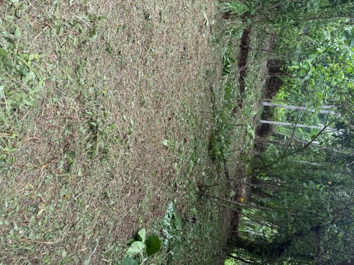 49.5Cents of Residential plot with direct Road access for Sale