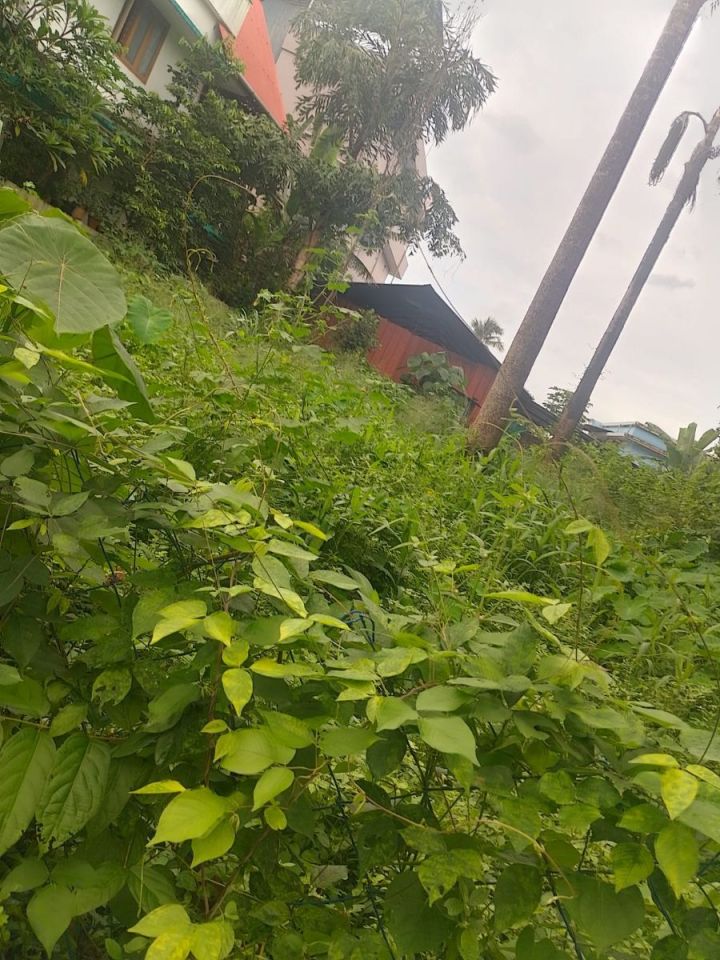 Residential Land For Sale in Thiroor, Thrissur.