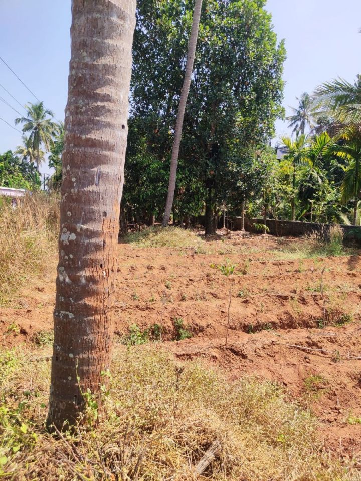 8 Cent Residential Plot for Sale – Perambra, Chalakudy, Thrissur