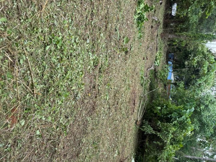 49.5Cents of Residential plot with direct Road access for Sale