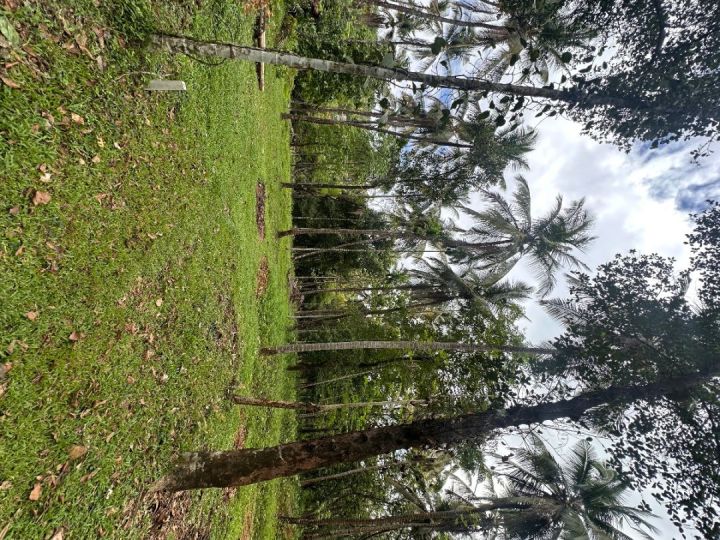 Land for Sale in Kunderi Road- Kelakam, India