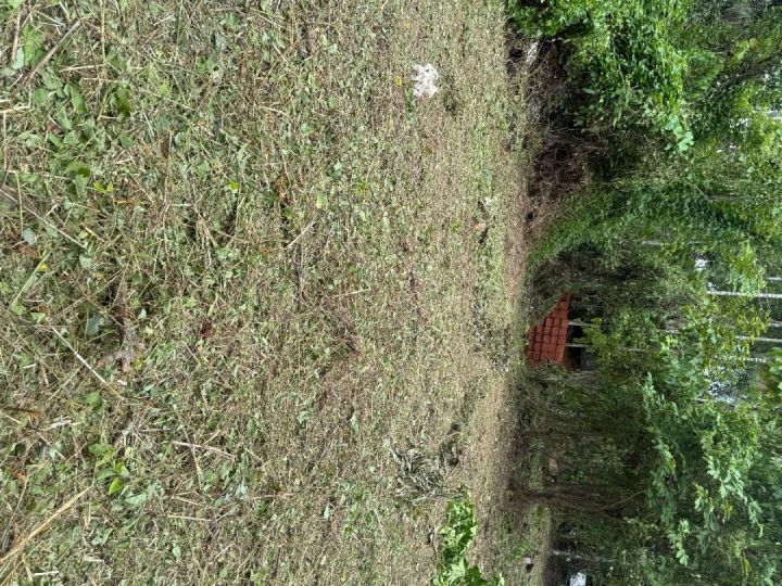 49.5Cents of Residential plot with direct Road access for Sale