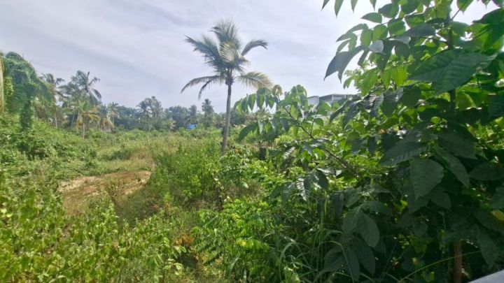 Residential Plot for Sale in Menamkulam, Kazhakkoottam