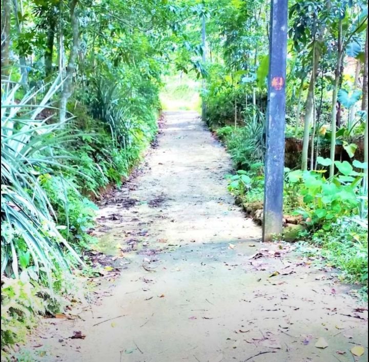 കൊട്ടാരക്കര താമരക്കുടി, ഒഴുകുപാറ തെക്ക് പഞ്ചായത്ത് റോഡ് Frontage കൂടിയ 10 സെന്റ് സ്ഥലം വില്പനക്ക്.