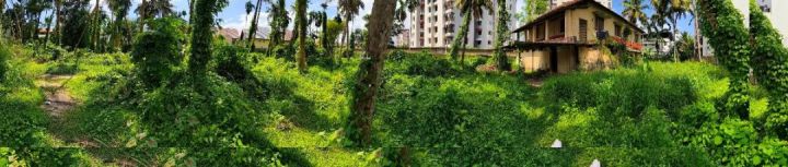 62 Cent Land for sale in Vennala at 18.75 lakh/Cent