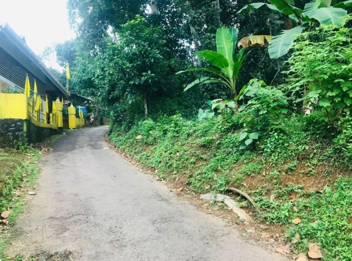 20 Cent Plot with House Mannar, Thalayolaparamb