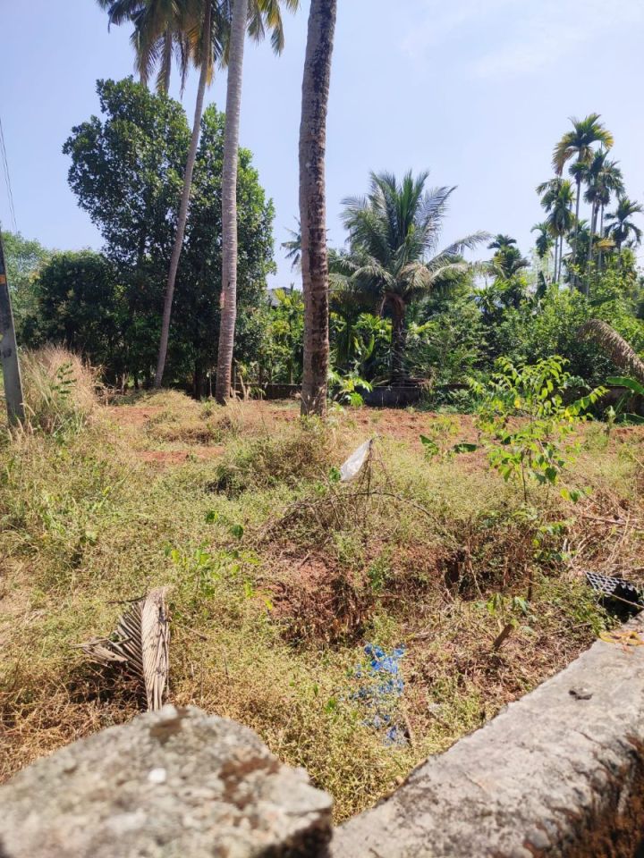 8 Cent Residential Plot for Sale – Perambra, Chalakudy, Thrissur