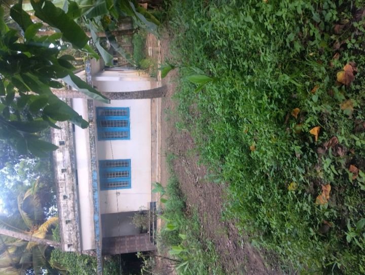 Land for sale in Tripunithura, kochi