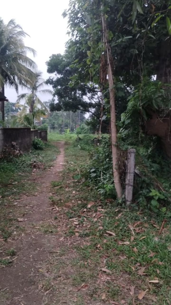 Residential land 10 cents for sale in Elookkara,Kadungallor, Near