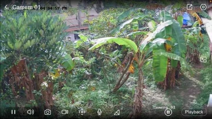 Direct Owner 85 Cents Land for Sale in Puthuvype Kochi