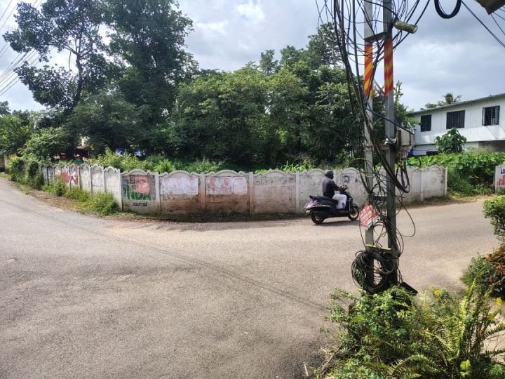 ? PREMIUM CORNER PLOT FOR SALE – ALANGAD, ERNAKULAM ?