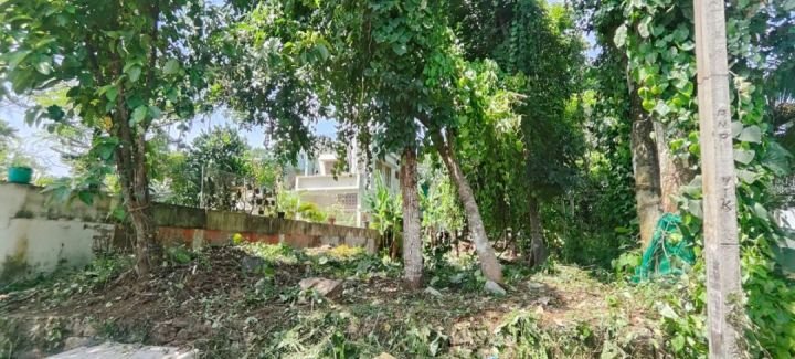 10 cent land for sale in Pathanamthitta (pandalam)