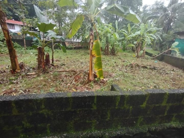 Plot for sale in Thodupuzha
