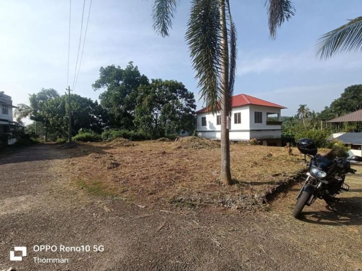 6.25 Cent Near to Road- Vattakunnu, Mulathuruthy