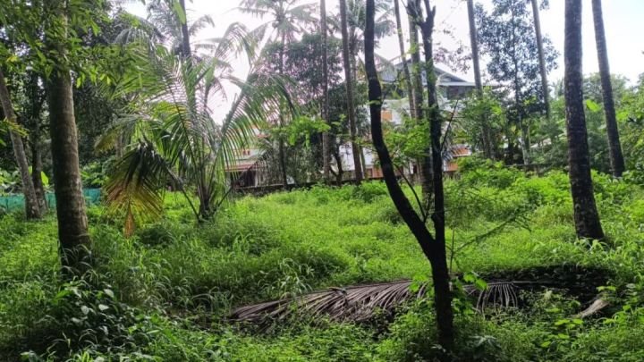 16 cent residential plot for sale in Thekkumkara, Wadakkanchery