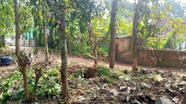 22 Cent Prime Plot Near Aranmula Parthasarathy Temple – Non-Flood Zone