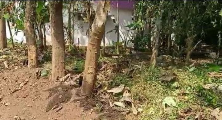 22 Cent Prime Plot Near Aranmula Parthasarathy Temple – Non-Flood Zone