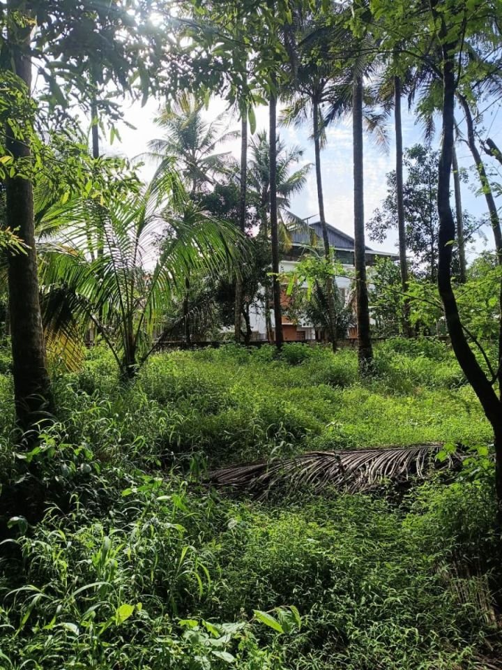 16 cent residential plot for sale in Thekkumkara, Wadakkanchery