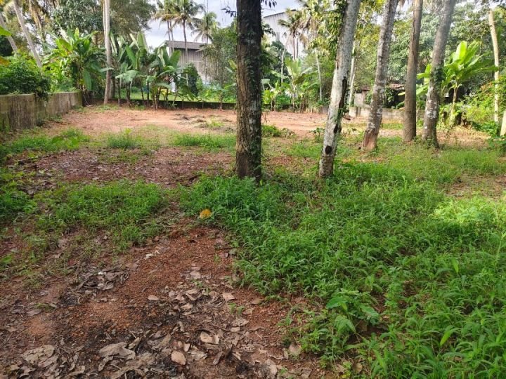 16 cent Property for sale in neendoor pravattom kottayam.