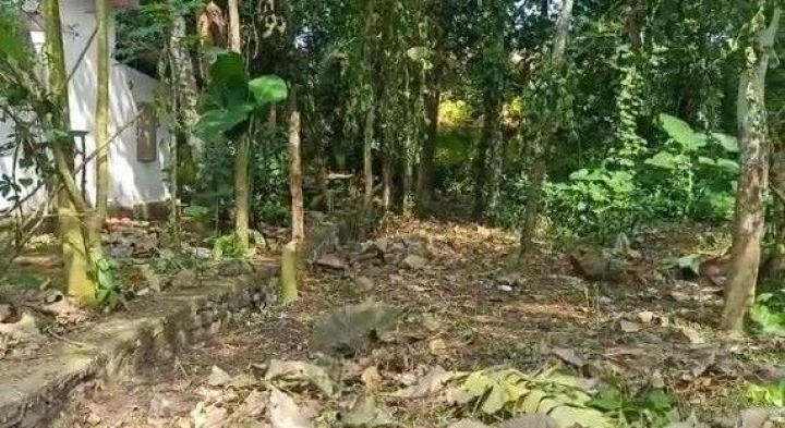 22 Cent Prime Plot Near Aranmula Parthasarathy Temple – Non-Flood Zone