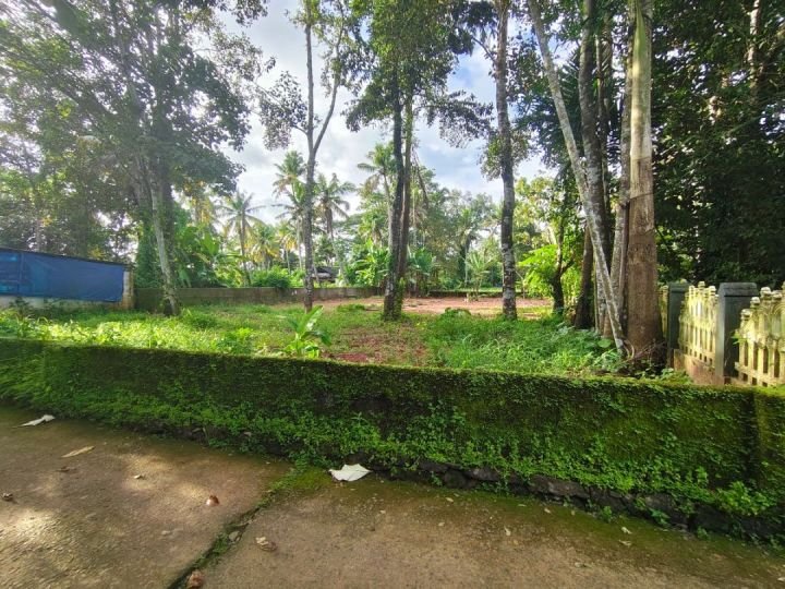 16 cent Property for sale in neendoor pravattom kottayam.