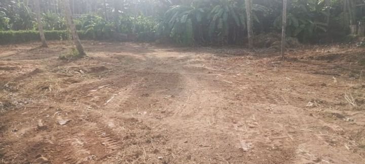 Residential property for Sale, Vayalikkada, Vattiyoorkavu