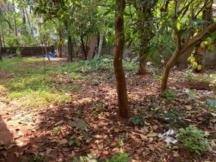 14 cents plot for sale at a prime location in Naduvattom Mahe, North Beypore,kozhikode