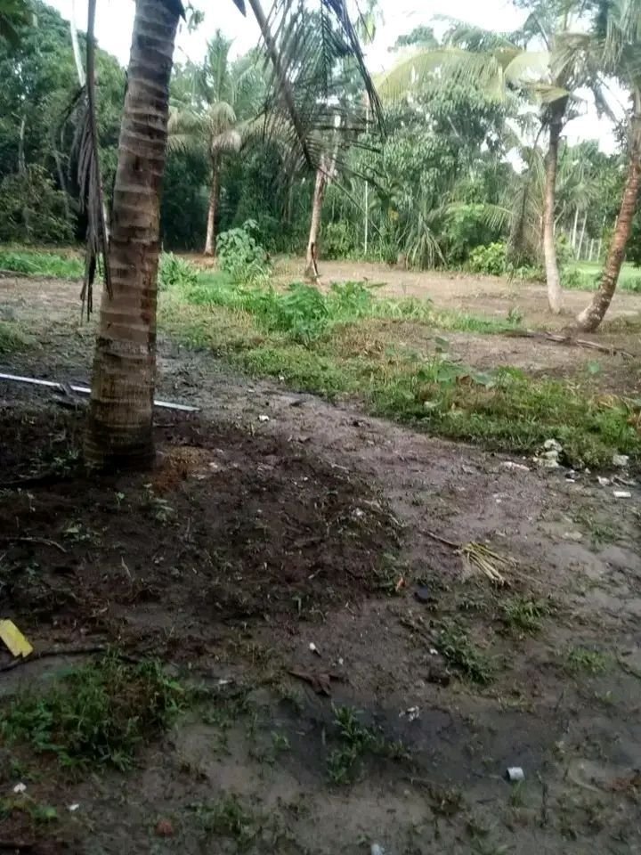 40 cents btr plot at immediate sale at Chemmanathukara, Vaikom