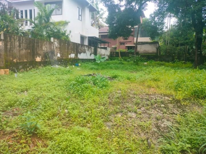 10-Cent Residential Plot for Sale Near Kerala Varma College, Thrissur