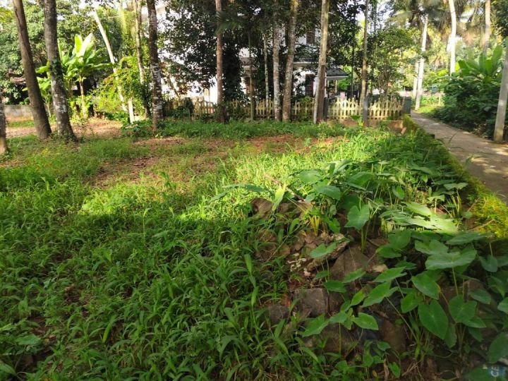 16 cent Property for sale in neendoor pravattom kottayam.