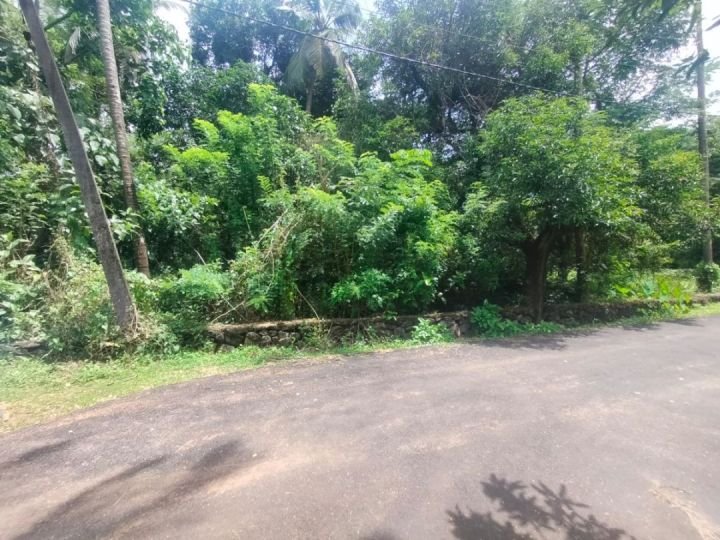 30-cent land for sale in Paravattani, Thrissur